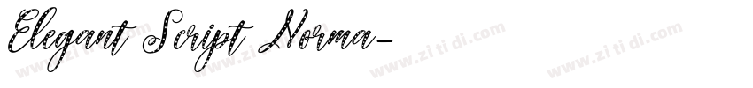Elegant Script Norma字体转换